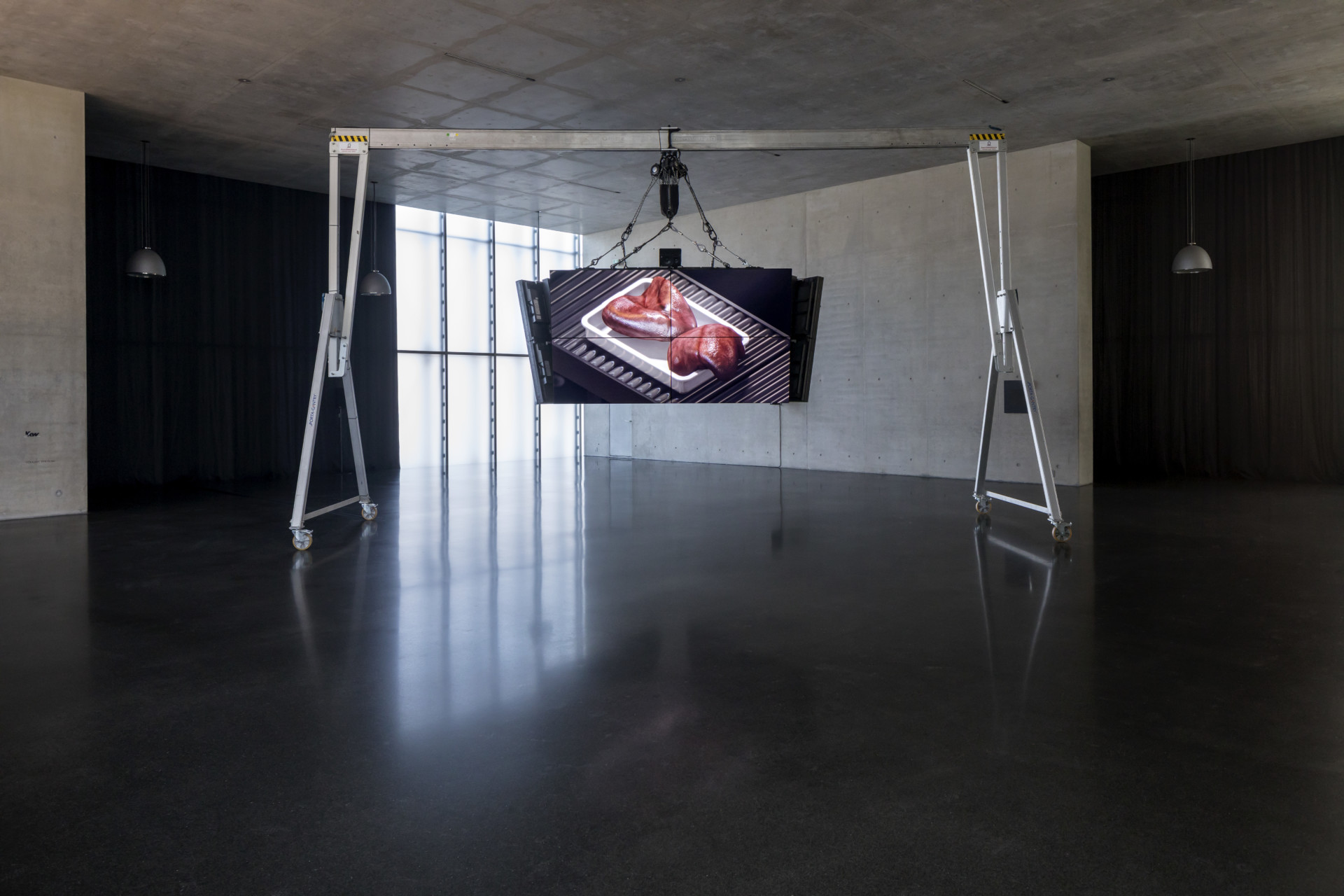 Kunsthaus Bregenz/ Ed Atkins/ KUB 2019.01